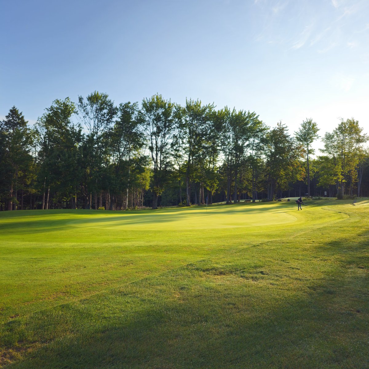 Erik MacPherson tweet media