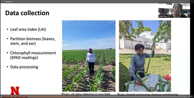 GuilleBalboa's tweet image. Adda Ireba (Rwanda), Laura Smaniotto (Brazil), and Manuel Estevez (Argentina) presented their 10-week internship results with @DawnProj. Proud to guide these talented individuals at @unlagrohort @UNLincoln
@waterforfood #DAWNInternship #FutureLeaders