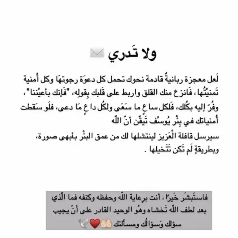 فوفو المطيري tweet media