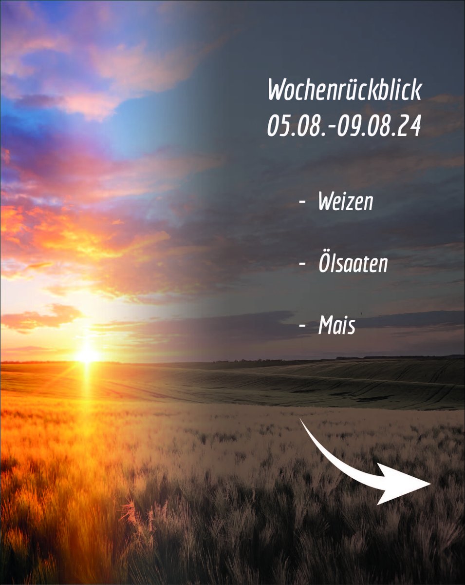 kaack_gmbh's tweet photo. Wochenrückblick 05.08.-09.08.24 für Weizen, Ölsaaten & Mais
#kaack #weizen #oelsaaten #raps #soja #sojabohnen #mais #landwirtschaft #agrar #agrarwirtschaft #markt #terminmarkt #boerse #wheat #oilseeds #soybeans #corn https://t.co/cxQkrsTVUy