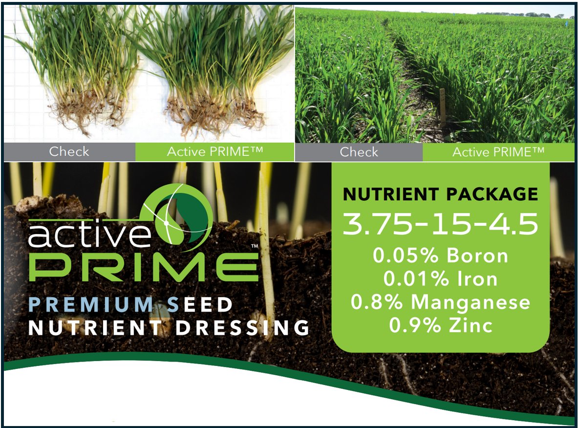 Looking to maximize your Winter Wheat this fall? Give it the best start possible with Active Prime - Stronger, more resilient plants. Years of research available. Reach out for more information!  #ontag