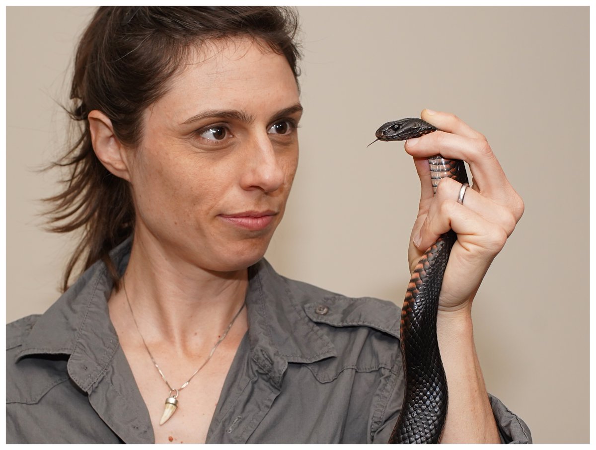 GRC Venom (@grcvenom) on Twitter photo Dr. Christina Zdenek (<a href="/CNZdenek/">Christina N. Zdenek, PhD</a>) is our Keynote speaker for our Mentorship Session! #GRSVenom24
Her talk ""Using Science Communication to Increase Impact" will provide guiding principles to enable and enhance the science communication abilities of ECRs! #scicomm Dr. Christina Zdenek (<a href="/CNZdenek/">Christina N. Zdenek, PhD</a>) is our Keynote speaker for our Mentorship Session! #GRSVenom24
Her talk ""Using Science Communication to Increase Impact" will provide guiding principles to enable and enhance the science communication abilities of ECRs! #scicomm