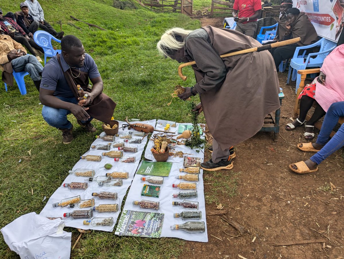 HakiNawiri's tweet image. Indigenous seeds discussion with Arap Sang ,80 year old Ogiek elder @nanodo2001 @landislife #KilimoHaiKE @Afsafrica @CSM4CFS @falubbe @BrianOdero7 @GRAIN_org @rls_agrar @WECAN_INTL