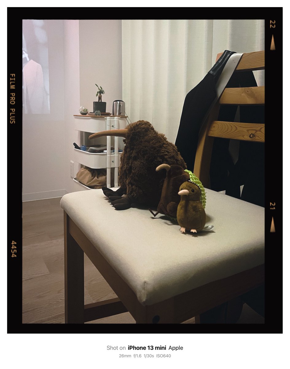 honogra's tweet photo. 新入り https://t.co/fn4eTNF5Od
