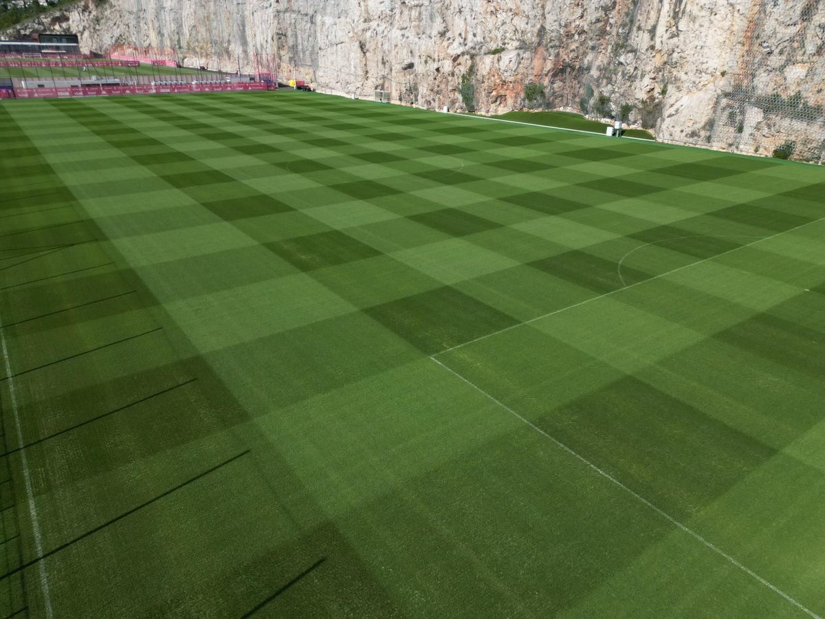 Natural Grass ME tweet media