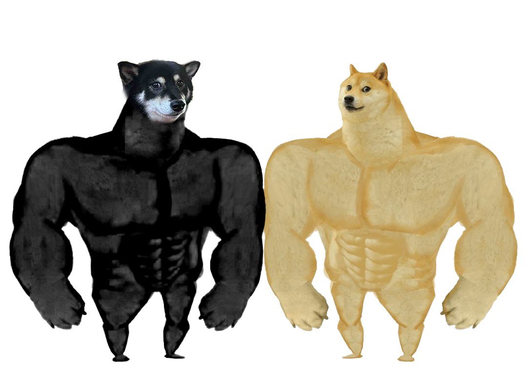 BIGGER, BLACKER AND STRONGER

$DOGE $KAGURA