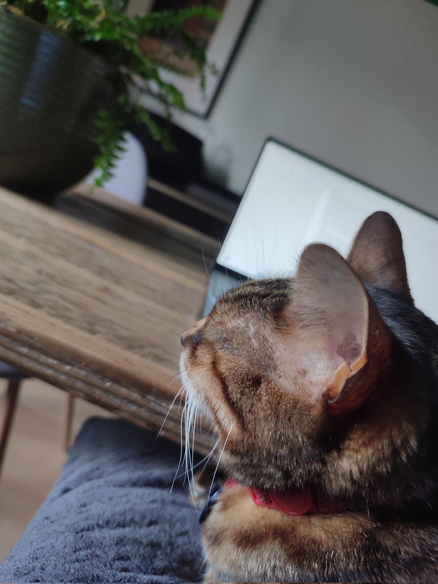 Super clingy RA this week.