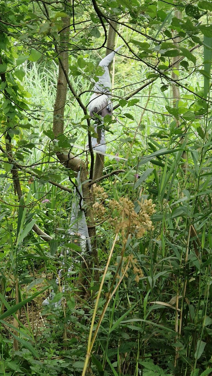 Kabouters aangetroffen in het #Rembrandtpark
#curiosa #Baarsjes