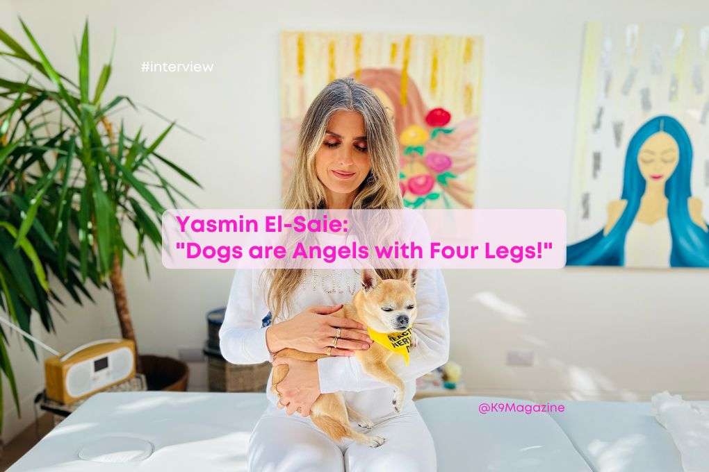 WOOF! Services tweet media