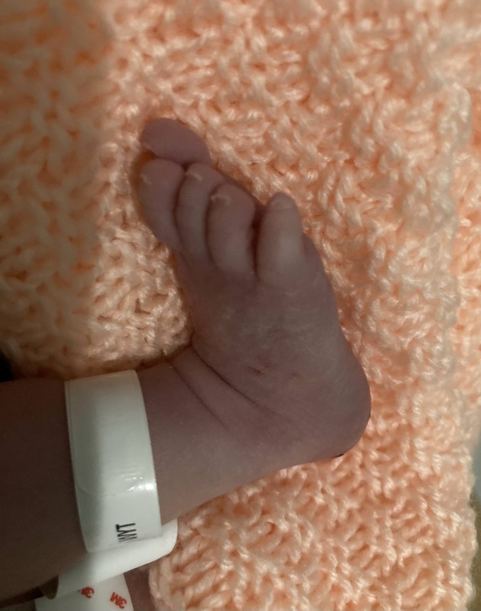 James Kettle tweet media