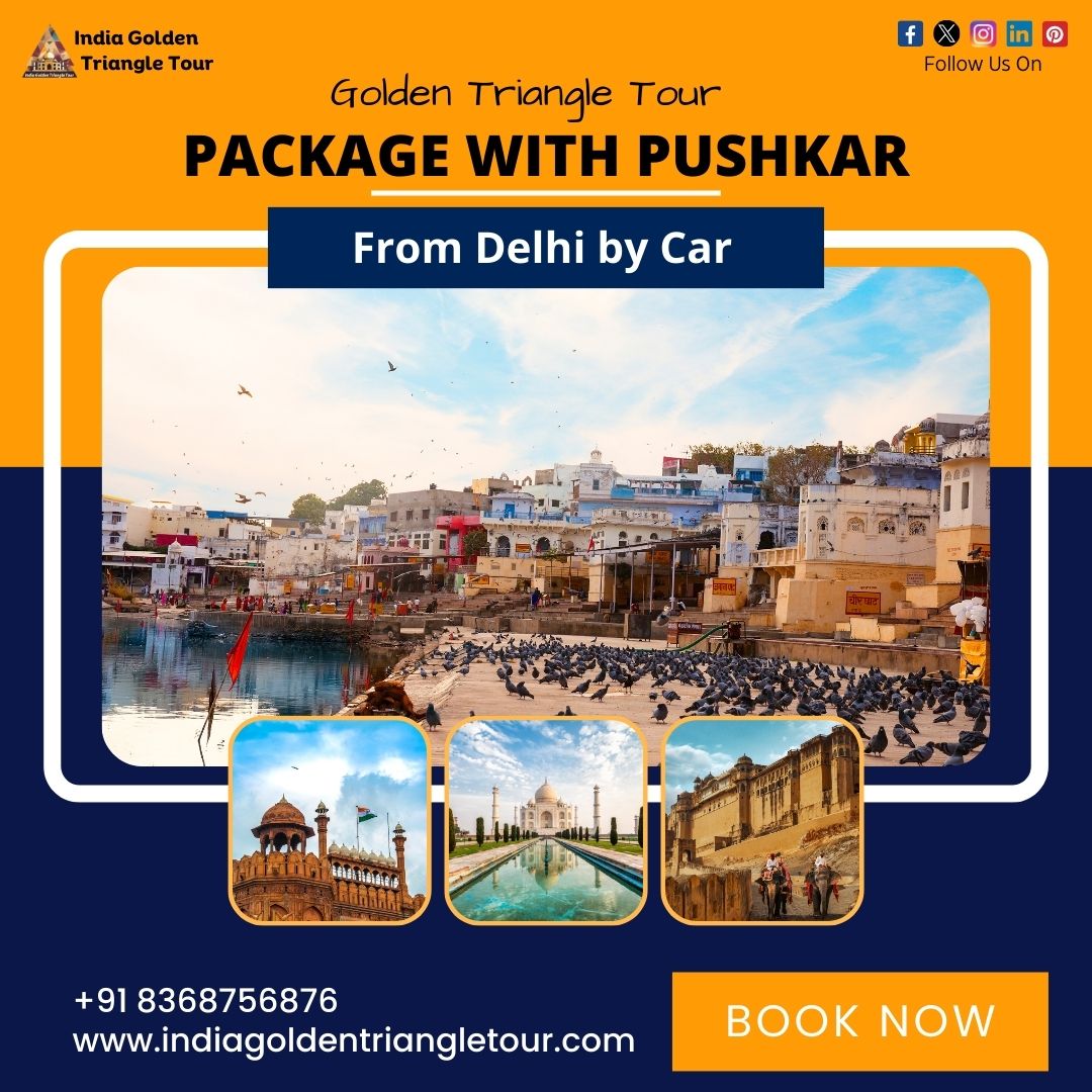 dayagratours's tweet photo. Embark on an enchanting journey through India's Golden Triangle and the mystical town of Pushkar with our exclusive tour package! 

To Book Now :- https://t.co/yhjz6jFLwC

WhatsApp us on :- +91 8368756876

#indiagoldentriangletour #goldentriangletourwitpushkarfromdelhibycar https://t.co/X8LfTzk4kq