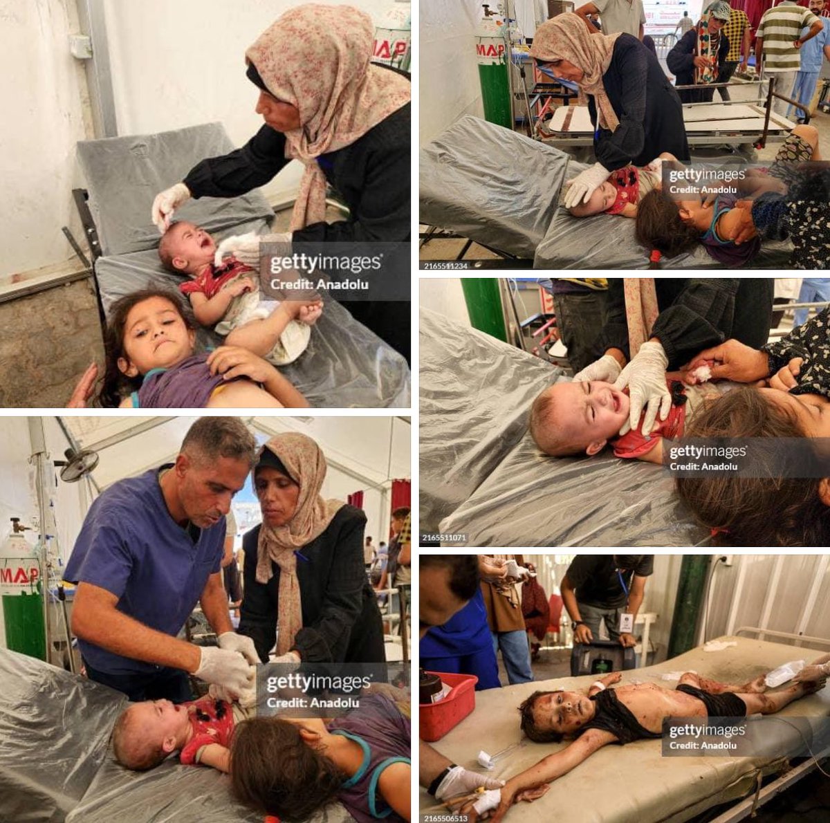 Emelia8z0's tweet photo. More small victims of disgraceful terrorists https://t.co/kzZWV8zxG2