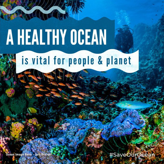 UN's tweet photo. A healthy ocean is vital for people &amp; planet.

See how small changes in daily habits can have a big impact to #SaveOurOcean &amp; our future: https://t.co/JifNAyKLa9 https://t.co/WziXOKnzbx