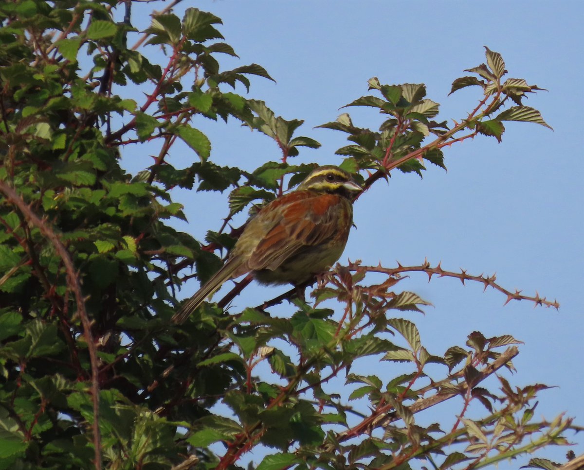 Tom Martin tweet media