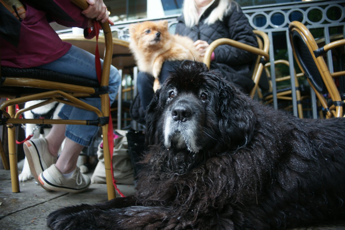 Tim Ranson tweet media