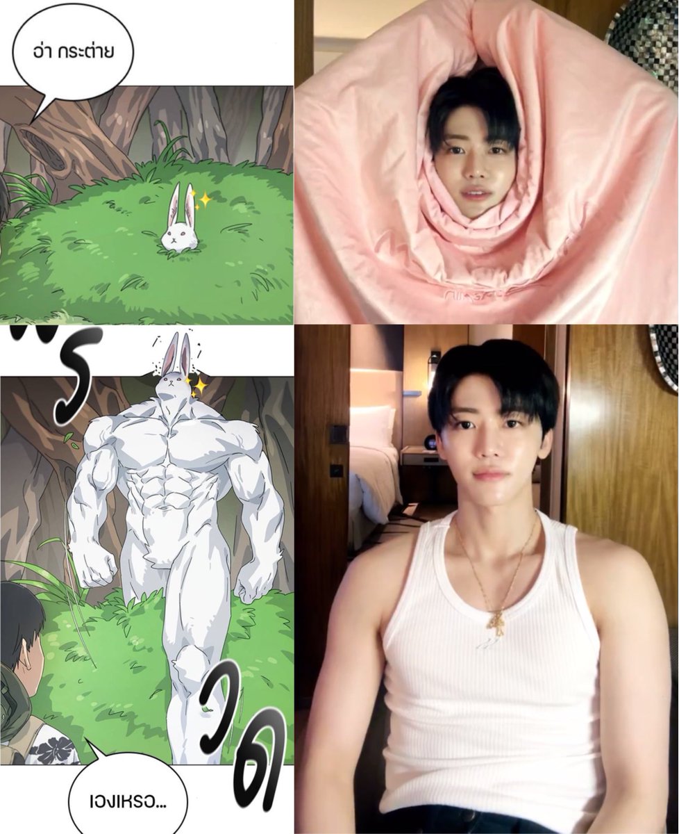 ก็แค่กระต่าย