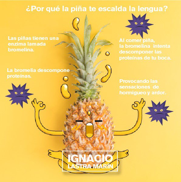 #Familia🍃

🍍¿Por qué la piña te escalda la lengua? 🍍

#NachoLastra🌱

#BuenFinDeSemana