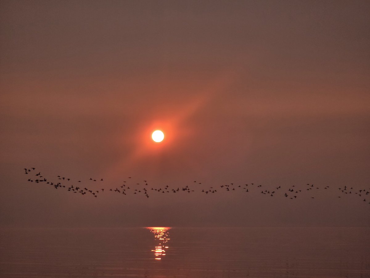 Catch up on Stefan's updates 😀 of the Northwest Passage Expedition - now live on the blog: 

8 August 
berkeleysquarebarbarian.com/2024/08/09/nwp…

7 August
berkeleysquarebarbarian.com/2024/08/08/nwp…

#nwpexpedition 🧊🚣🏼❄️🇨🇦🩵

(ps. will try to embed videos into the blog updates, so stay tuned!) (E)