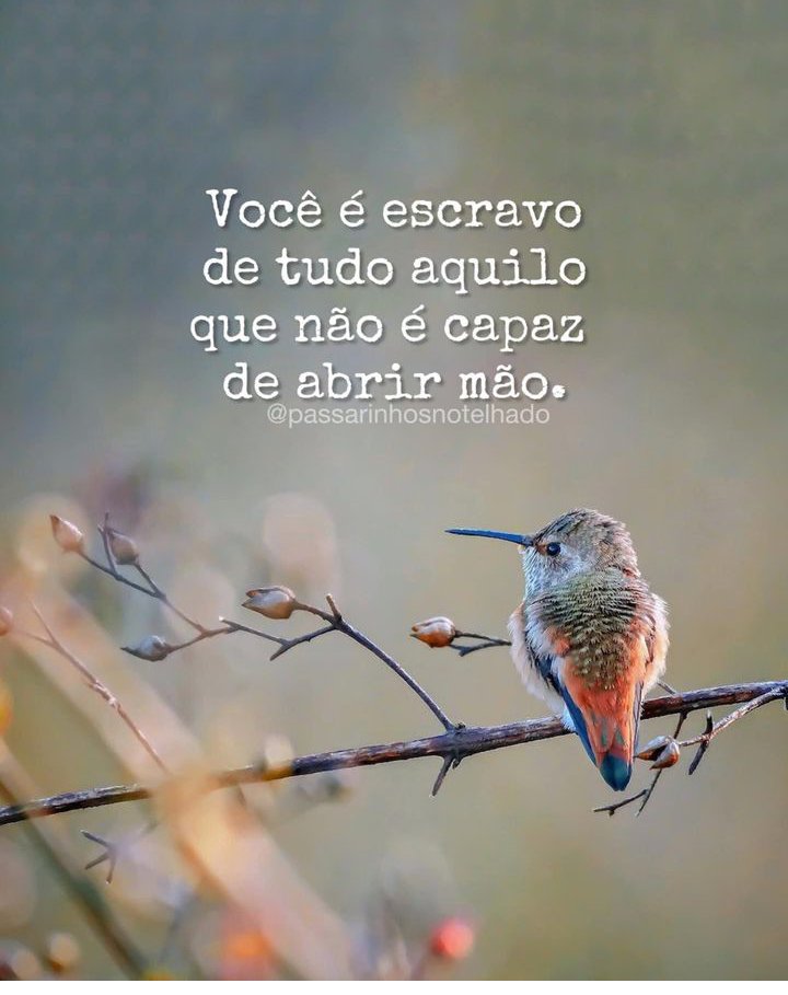 emilialosado's tweet photo. #fato #boatarde #tmj https://t.co/bLI75sTqxZ