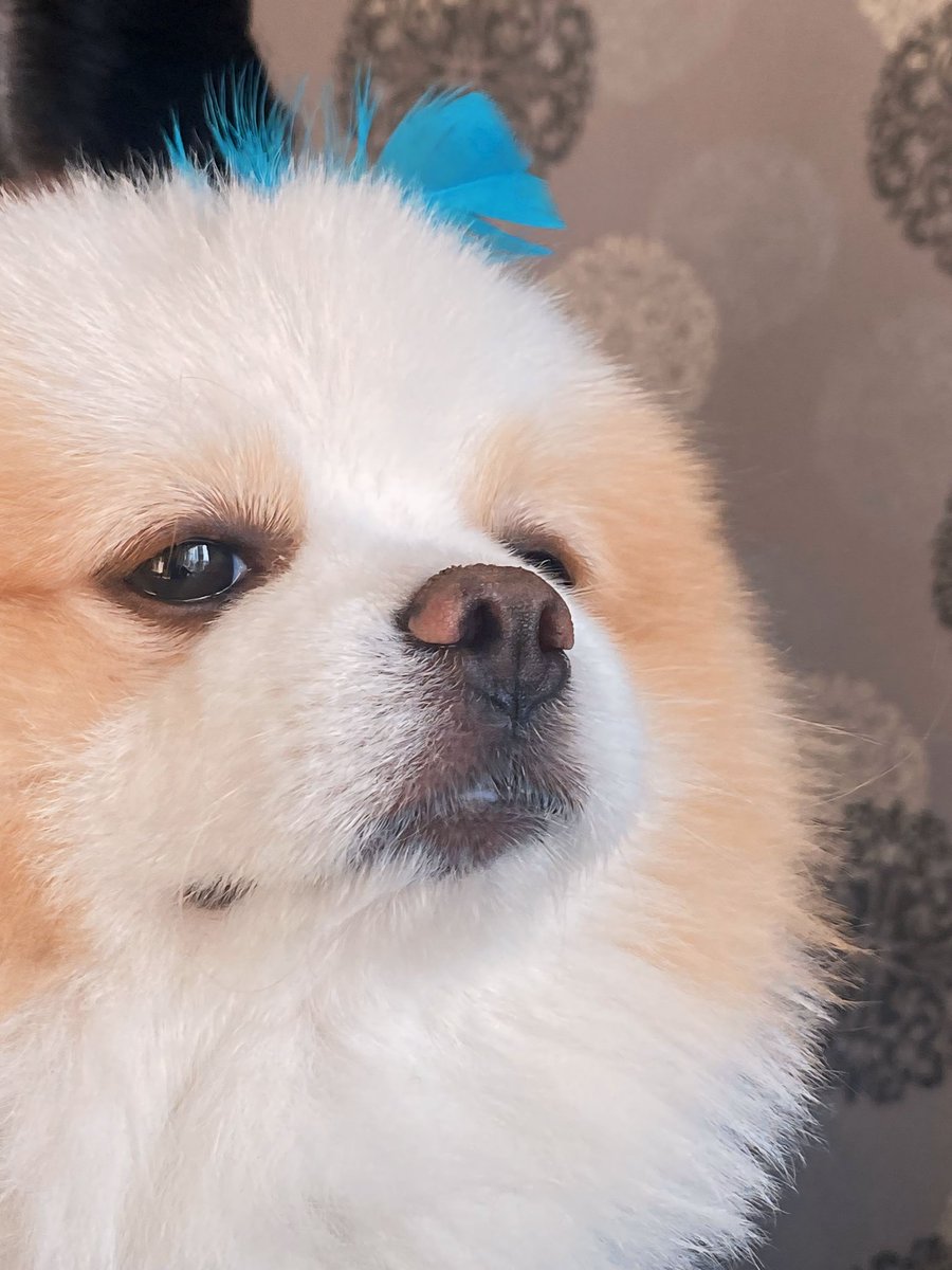 +Küs müyüz?
-Hayır 
+Bak bana
-Bakmayacam