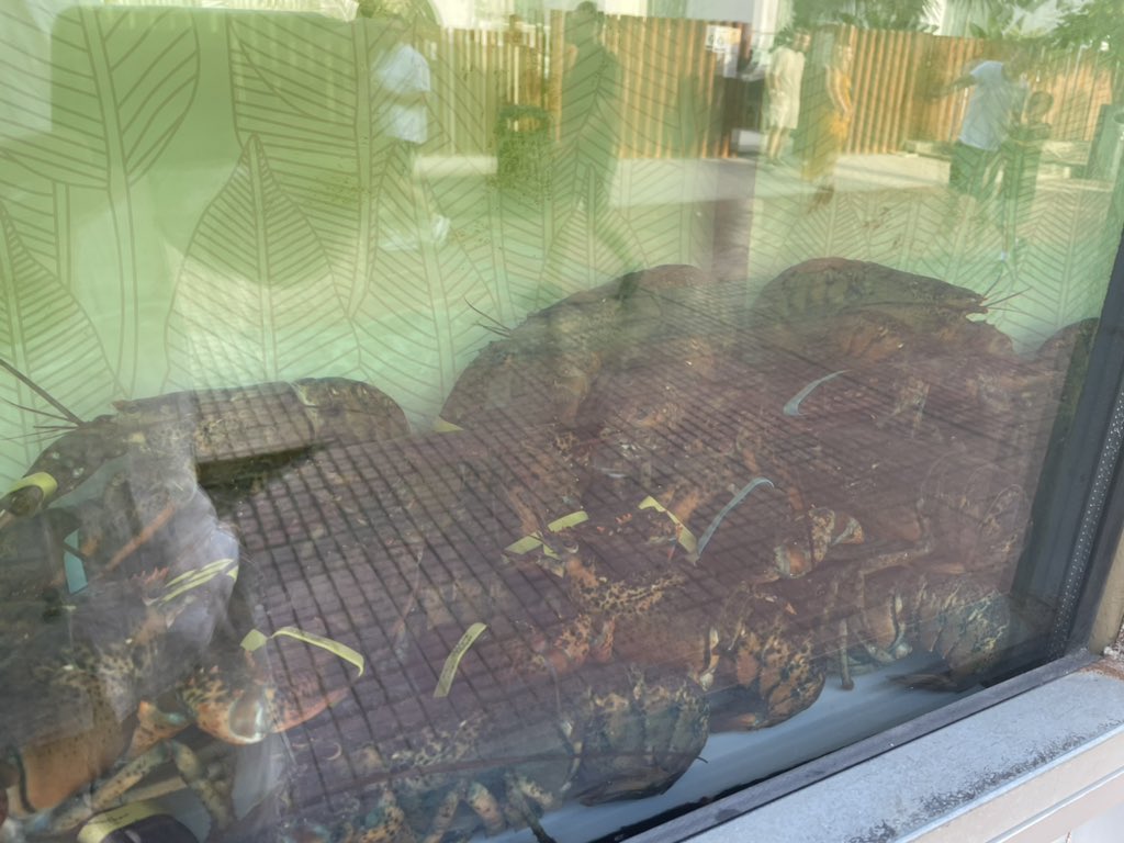 JayR1972 tweet media