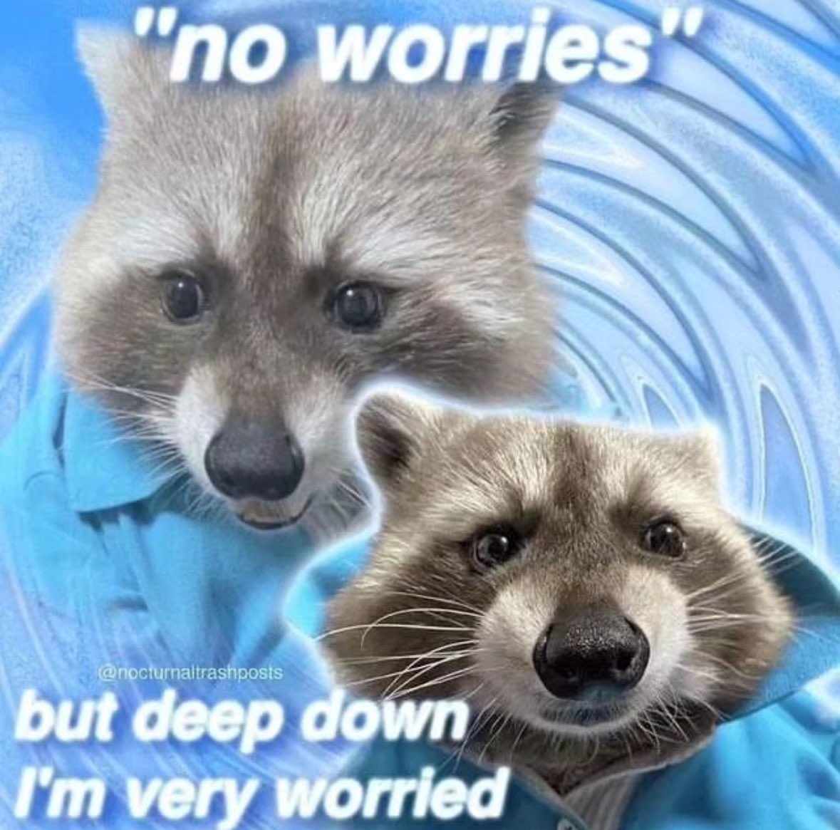 raccoon aesthetic. tweet media