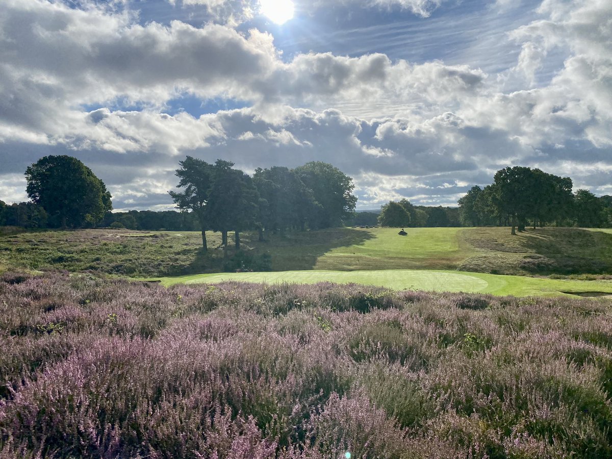 plestee's tweet image. Back from holiday and the team have been absolutely smashing it 💪🏻👏🏻  Stoneham Trophy ready ✅ #Dreamteam #TeamStoneham