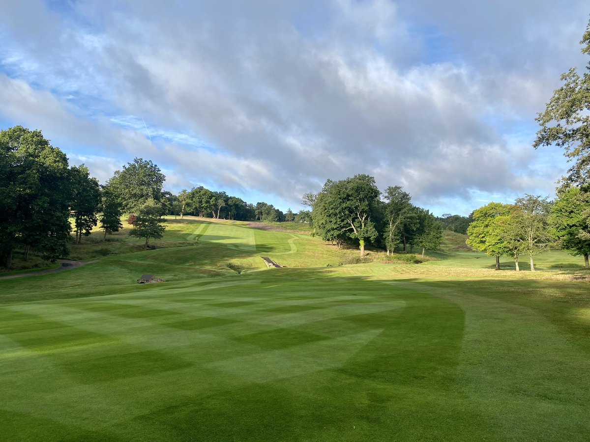 plestee's tweet image. Back from holiday and the team have been absolutely smashing it 💪🏻👏🏻  Stoneham Trophy ready ✅ #Dreamteam #TeamStoneham