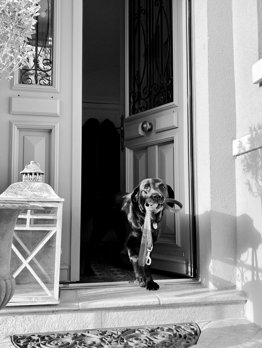 💔 Hello everyone,

We’ve faced challenges since our launch six months ago when we lost the dog who served as our model for creating these NFTs. After 14 years of friendship, she went to join the stars.

We’re back to remember her, do the job, and ensure she is never forgotten.