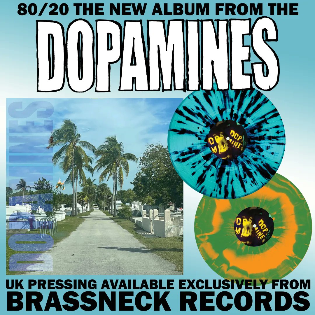 New LP from <a href="/THEDOPAMINES/">The Dopamines</a> up for pre-order now! brassneckrecords.bigcartel.com