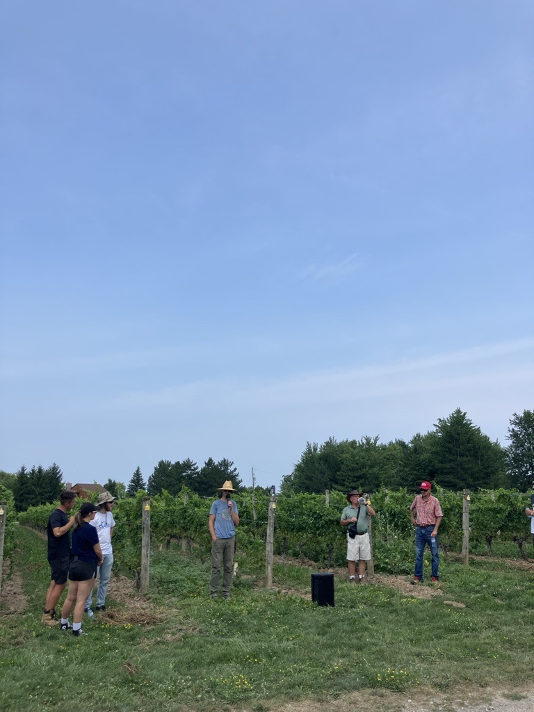 collcrun's tweet photo. Had a great day last week at the Triggs Lecture Series! Thank you to @CCOVIBrockU for organizing a great event, Dr. Keller for sharing his knowledge, and to all of the growers for teaching and hosting us: Schenck Farms, Henry Pelham Family Estate Winery, and Malivoire Winery.🍇🍷 https://t.co/qMUcgCJdUe