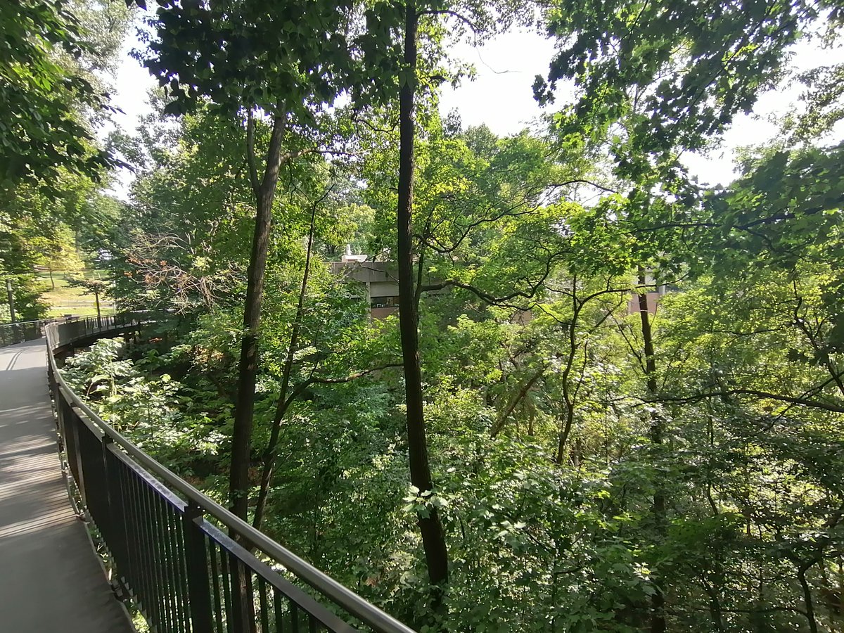 When the first PhD students and future postdocs of your lab are absolutely rocking it - so proud of <a href="/Hopkins_PaLEO/">Hopkins PaLEO Lab</a>! 

For anyone interested in #astrobiology, #evolution, #paleobiology - check out opportunities in the lab! 

jasminawiemann.com
🧬⚗️🦠🪼🦈🦕🐧