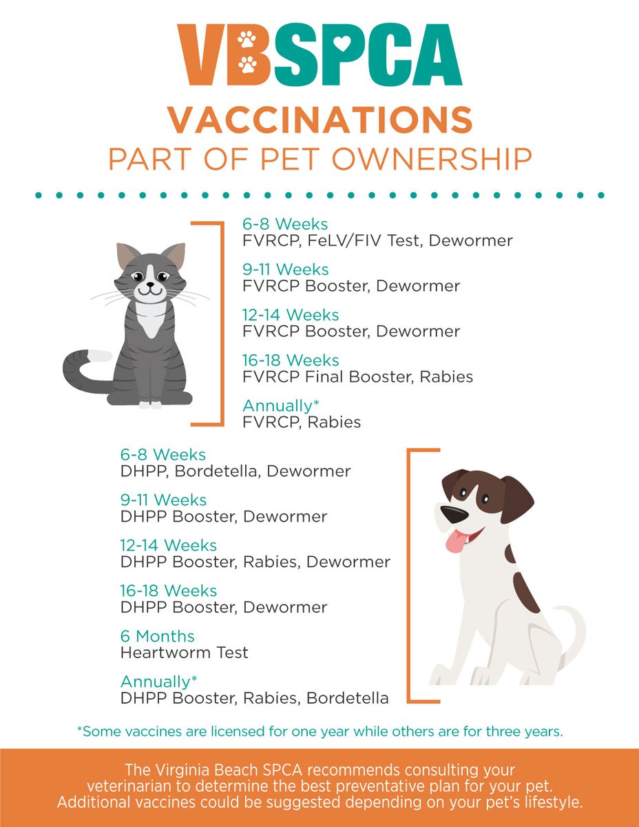 Keeping your furry friends up-to-date on their vaccinations is a vital part of being a pet parent. Not only do vaccines keep your pets safe, but they also prevent the spread of disease to other pets.

Visit vbspca.com/the-importance… to learn more about the importance of vaccines.