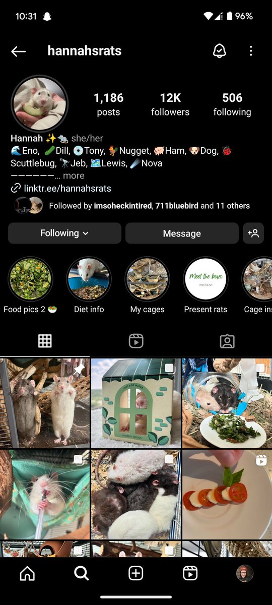 .ellie ⊬ tweet media