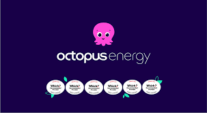 #ThankYou to <a href="/OctopusEnergy/">Octopus Energy</a> 🐙who had lots of fun supporting us on their Charity Day! From everyone at #CoventryHavenWomensAid &amp; the women/children we support, your commitment to fundraising is inspiring. Thank you for being such wonderful community champions! #OctopusEnergy #CSR