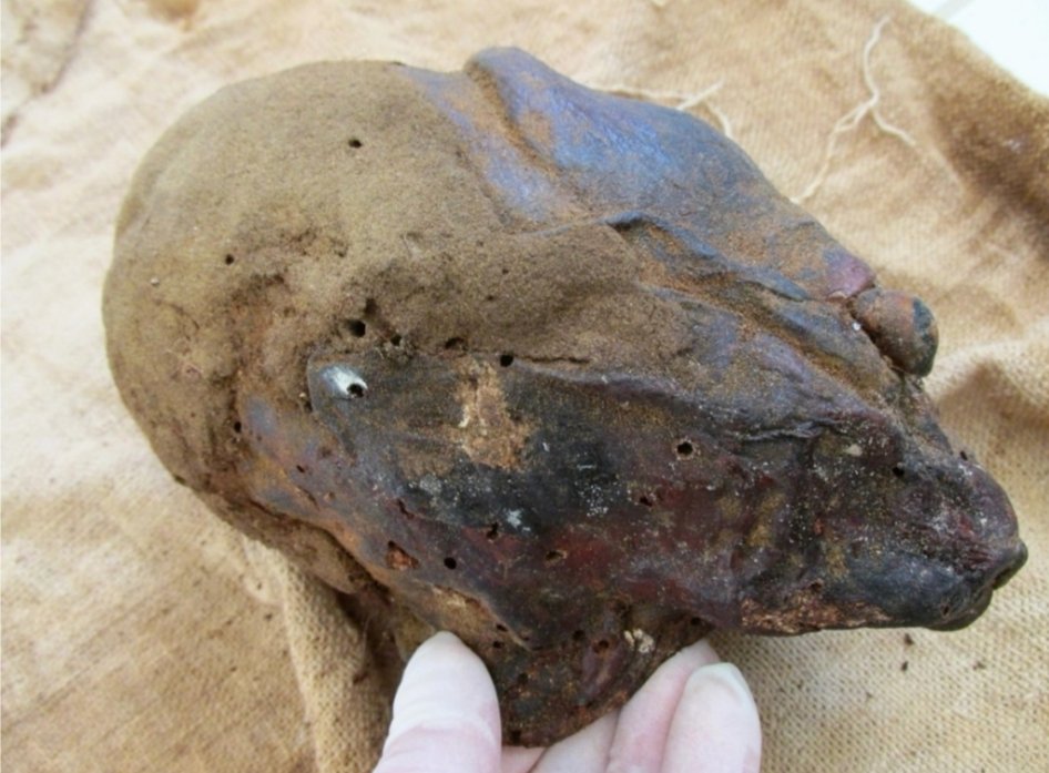 JosCRios's tweet photo. Strangest Mummified Head. 

According to biologist and author Brien Foerster, this very strange mummified head was unearthed by locals inside of an ancient cemetery in the Paracas region of Peru. https://t.co/x3BeNPBtv7