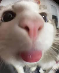 zetrofv's tweet photo. @iv9rys @AwakenRGN @fxcozy https://t.co/oymPQ0pyOn