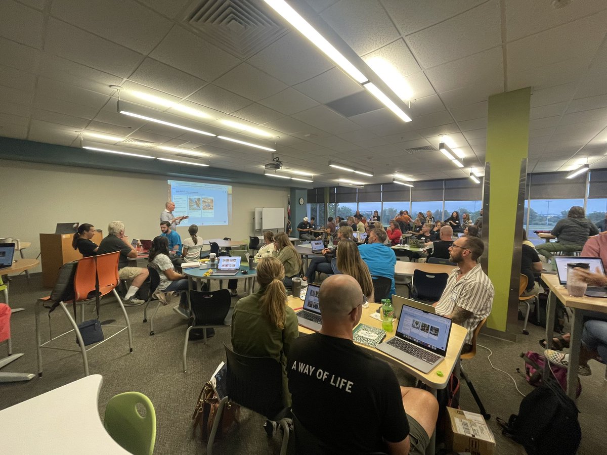 Lindsay Fox tweet media