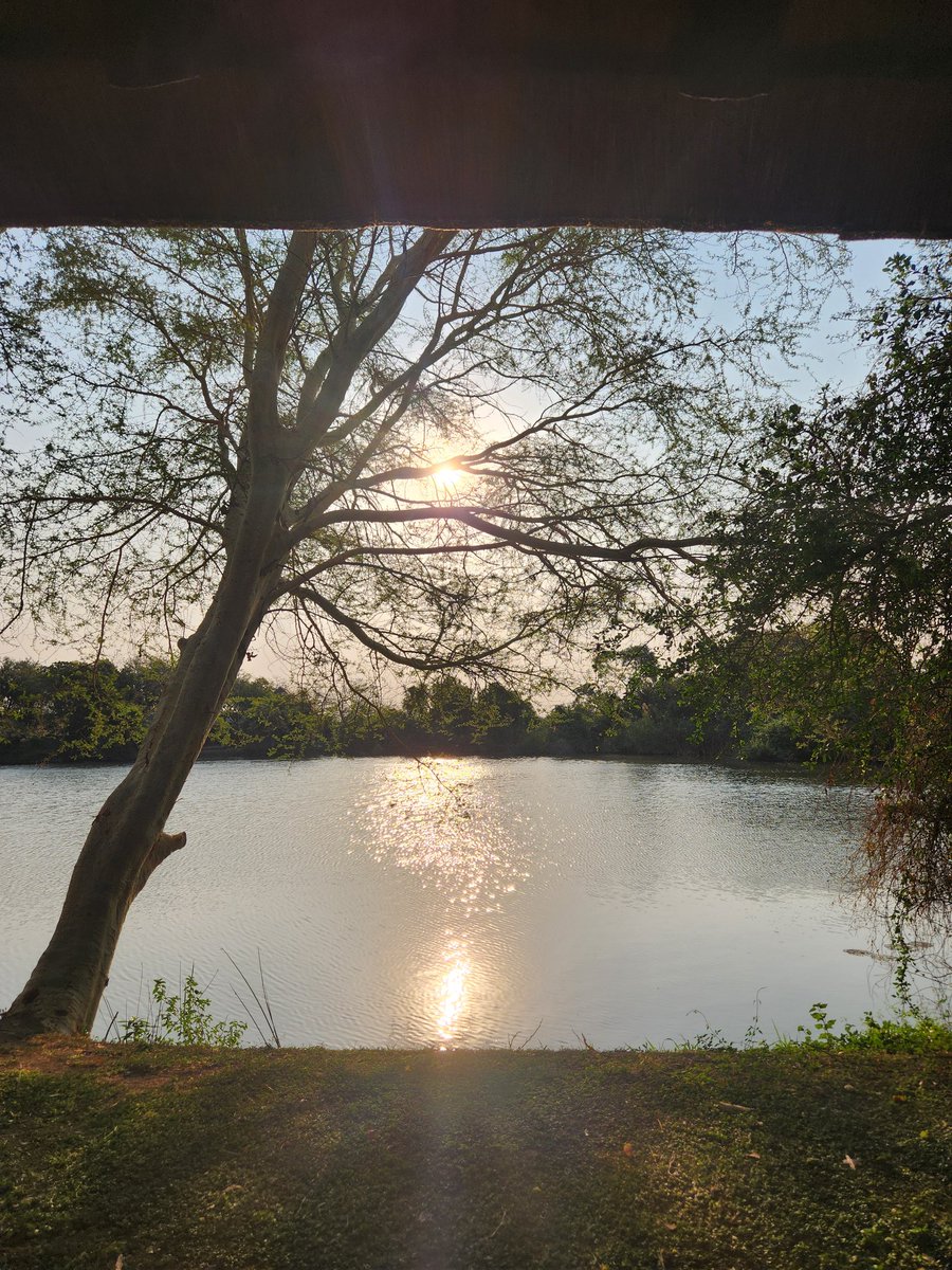 leaneramsoomar's tweet image. #reflectiontime