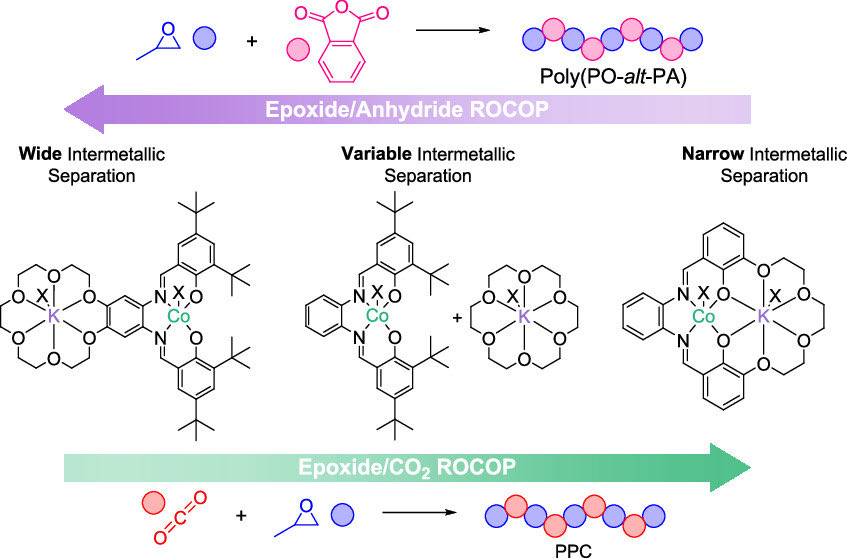 Williams Group (@williamsgroupox) on Twitter photo Our latest work on “Synergic Catalysis: the Importance of Intermetallic Separation in Co(III)K(I) Catalysts for Ring Opening Copolymerizations” is out now in <a href="/J_A_C_S/">J. Am. Chem. Soc.</a>!
A huge congratulations to <a href="/franfiorentini/">Francesca Fiorentini</a>, @kateisenhardt and Arron! 🥳🧪
pubs.acs.org/doi/10.1021/ja… Our latest work on “Synergic Catalysis: the Importance of Intermetallic Separation in Co(III)K(I) Catalysts for Ring Opening Copolymerizations” is out now in <a href="/J_A_C_S/">J. Am. Chem. Soc.</a>!
A huge congratulations to <a href="/franfiorentini/">Francesca Fiorentini</a>, @kateisenhardt and Arron! 🥳🧪
pubs.acs.org/doi/10.1021/ja…