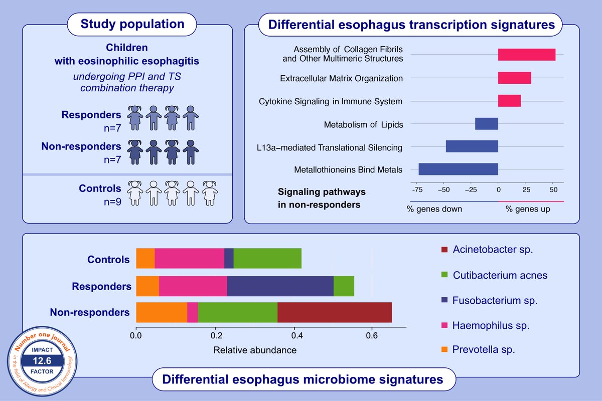 Allergy EAACI tweet media