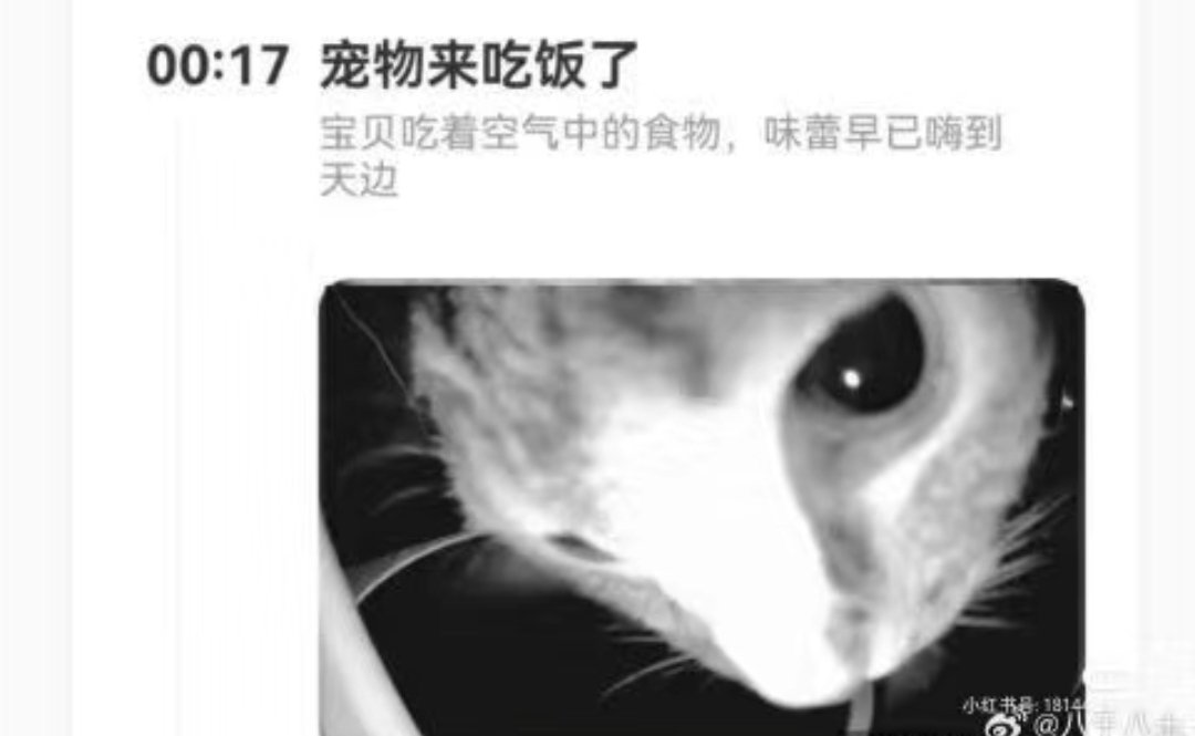 沈 tweet media