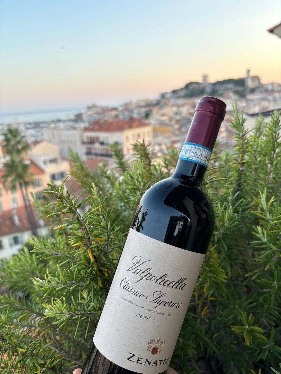 Bevuto fresco il nostro Valpolicella Classico Superiore è perfetto anche al mare!

Enjoyed chilled, our Valpolicella Classico Superiore is perfect even by the sea!

#zenatowinery #valpolicella #winelovers
#italianredwine #summerwines