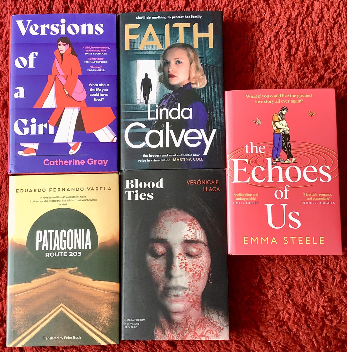 📮📮BOOK POST📮📮

Thrilled to receive this box full of loveliness from <a href="/MtLeopardPress/">Mountain Leopard Press</a> <a href="/IsabelleHPG/">Isabelle Wilson</a> Thank you 💕

#VersionsOfAGirl
#Faith by #LindaCalvey
#PatagoniaRoute203 by #EduardoFernandoVarela
#BloodTies
#TheEchoesOfUs

Now where do I start?  Any recommendations?