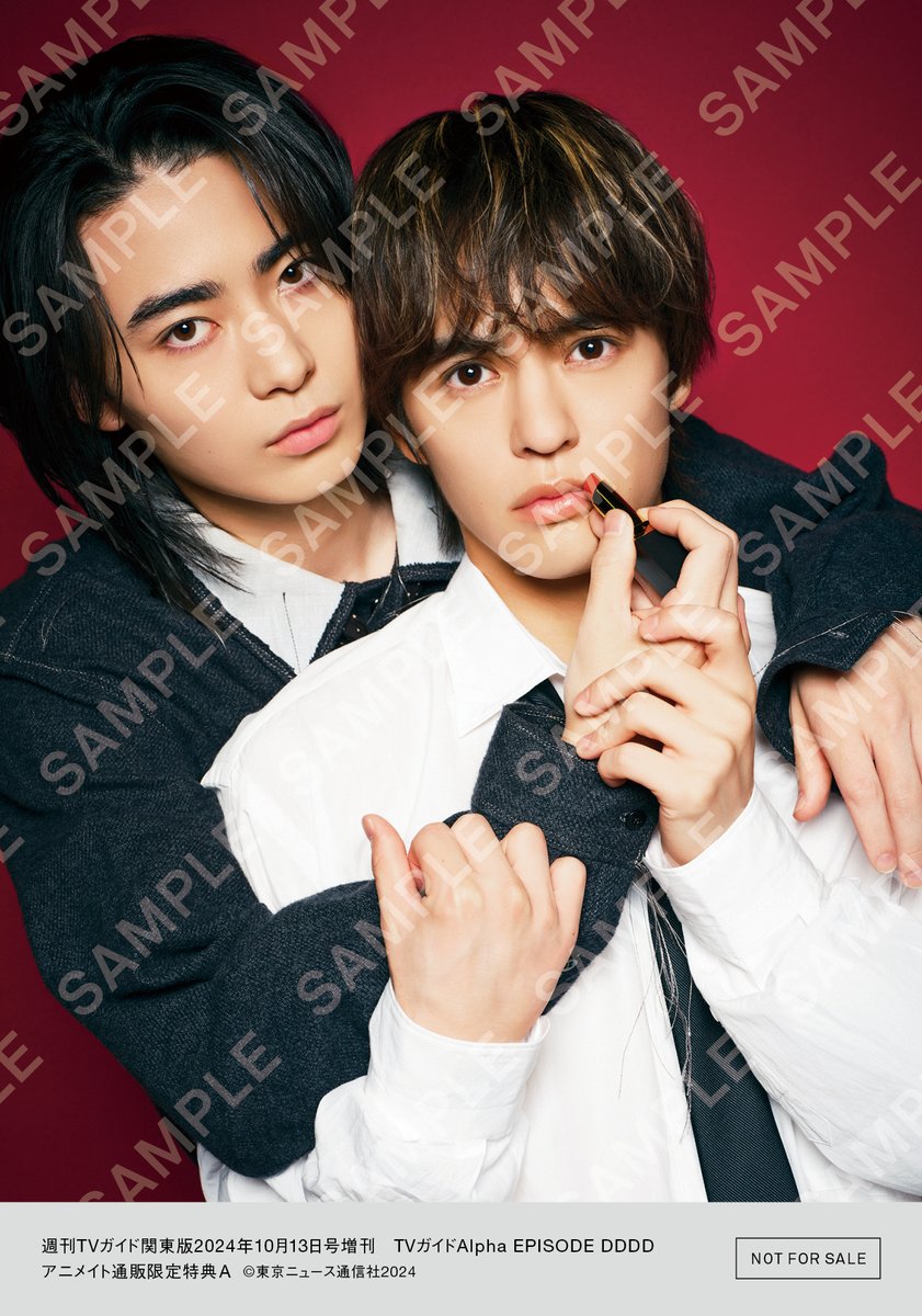 TVガイドAlpha EPISODE DDDD 8/30(金)発売📙 アニメイト通販で購入