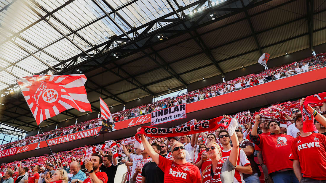 LamaBox's tweet image. morgen.... #effzeh #ELVKOE