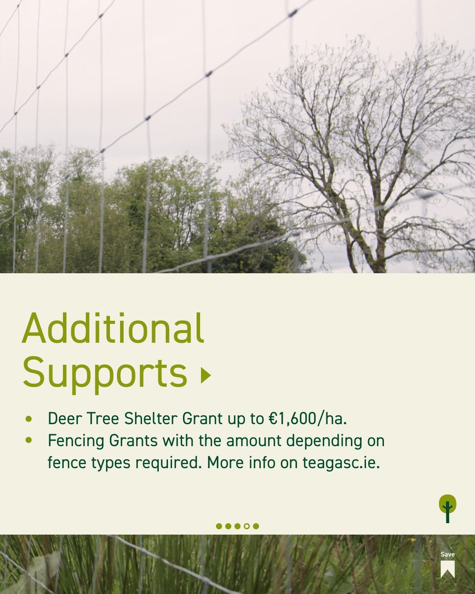 FarmForest tweet media