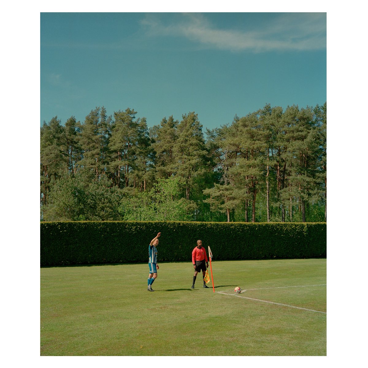 Hækken på Blekevallen i Vanneberga er i mine øjne 10 ud af 10 💚