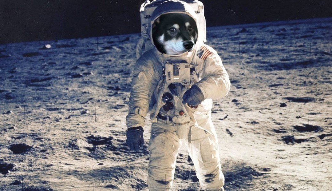 whats after the hill top? I think we all know! #KAGURA #ETH #NEIRO

Are you with us?

t.me/kagurachaneth