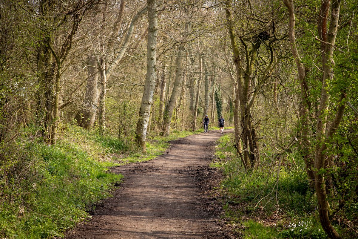 Eastbourne Walking Festival tweet media